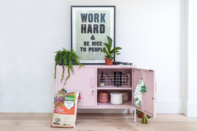 Pink metal locker, with bag of compost to the left of the locker, a picture and two plants on the top of the locker, and an open door to the right of the locker